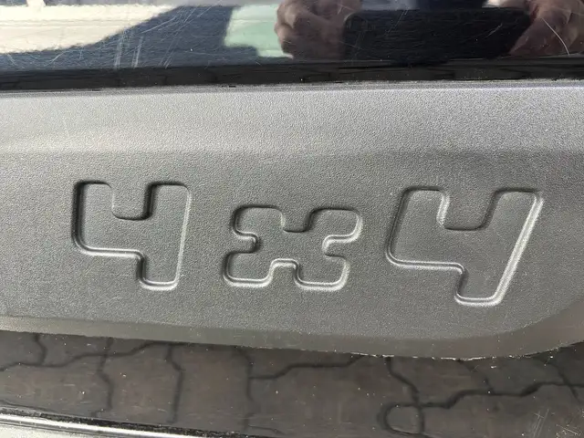 Fiat Panda 4x4 1,3 Multijet II 95