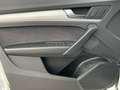 Audi Q5 40 TDI quattro S tronic S line AHK Matrix Sta Weiß - thumbnail 14