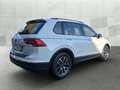 Volkswagen Tiguan 2.0 TDI DSG LIFE *AHK *LED *RKAM *ACC *NAVI *LM * Blanc - thumbnail 4