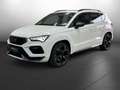 CUPRA Ateca Basis 4Drive 2.0TSI*NAVI*360°K*SHZ*uvm Weiß - thumbnail 1