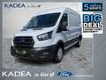 Ford Transit Kasten 290 L2 Trend PDC|AHK|Klima|8xReife Bianco - thumbnail 1