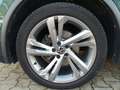 Volkswagen Tiguan R-Line 2.0TDI 4M DSG/ Standh, Matrix, AHK Bleu - thumbnail 8