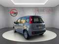 Fiat Panda 1.0 firefly hybrid City Life Gris - thumbnail 6