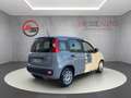 Fiat Panda 1.0 firefly hybrid City Life Gris - thumbnail 4