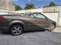 Ford Focus CC 1.6i Trend - thumbnail 8