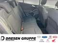 Ford Focus 1.0 EcoBoost Titanium Edition MHEV LED Navi Winter Gri - thumbnail 13
