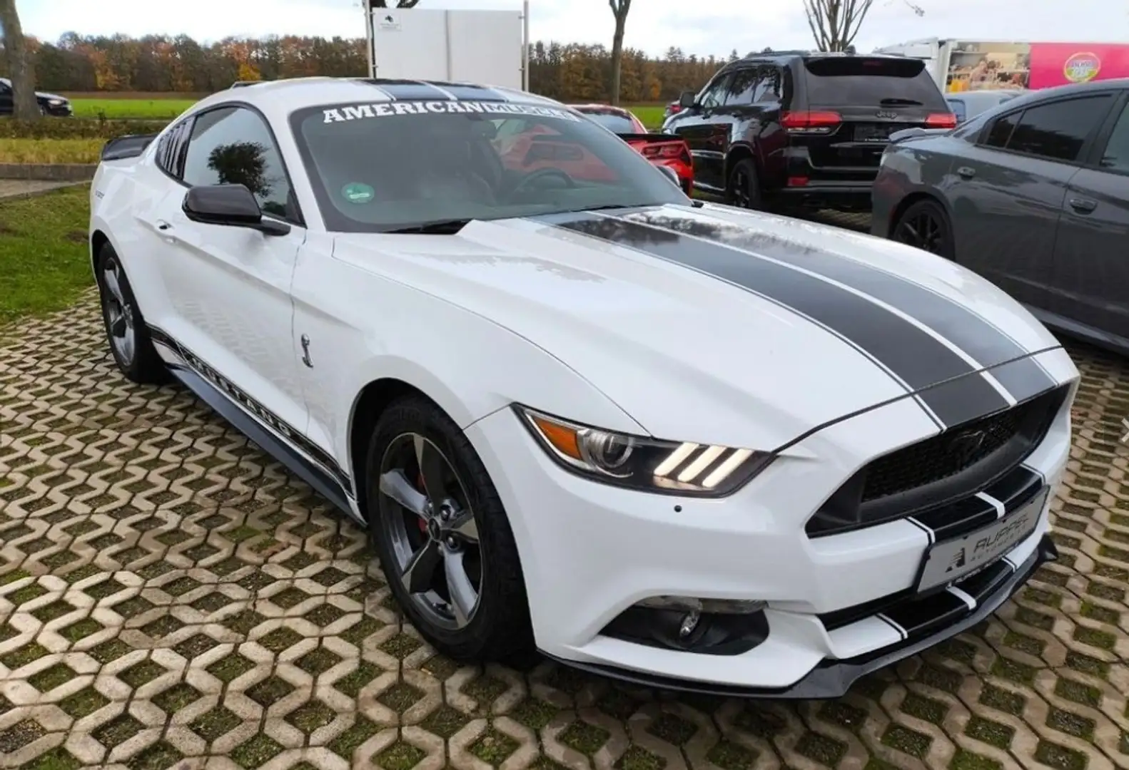 Ford Mustang 3,7L V6 Leder Xenon NAVI GLP BRC Blanco - 1