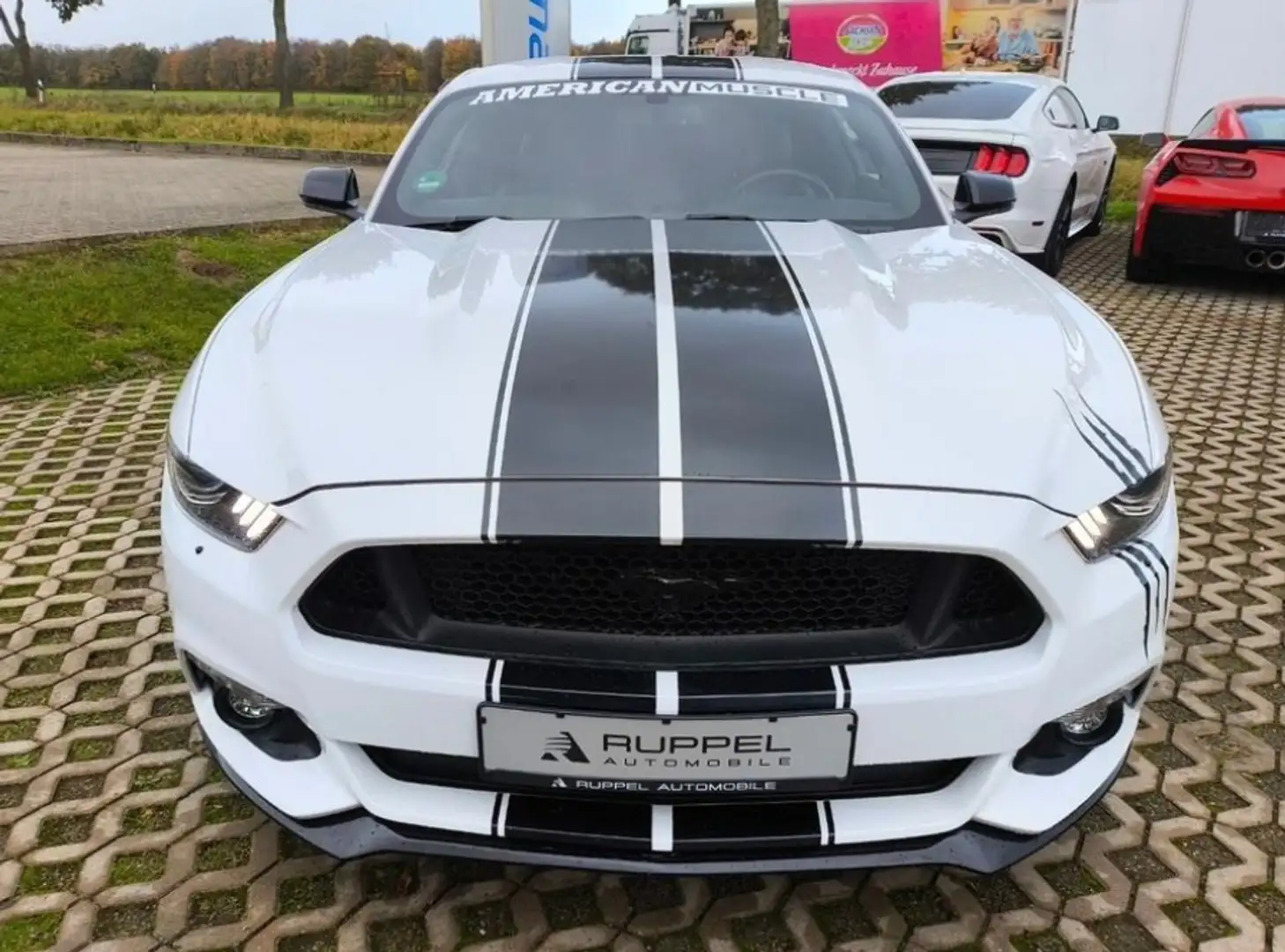 Ford Mustang 3,7L V6 Leder Xenon NAVI GLP BRC Blanco - 2