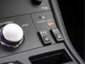 Lexus CT 200h Business Line | Panodak | Leer | Navi | Camera Red - thumbnail 12