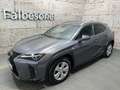 Lexus Sonstige UX 250 h E-Four F-Sport Grau - thumbnail 1