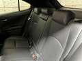 Lexus Sonstige UX 250 h E-Four F-Sport Grau - thumbnail 22
