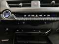 Lexus Sonstige UX 250 h E-Four F-Sport Grau - thumbnail 18