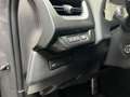 Lexus Sonstige UX 250 h E-Four F-Sport Grau - thumbnail 20