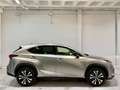 Lexus NX 300 300h Premium 2WD Grau - thumbnail 50