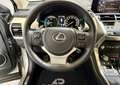 Lexus NX 300 300h Premium 2WD Grau - thumbnail 14
