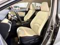 Lexus NX 300 300h Premium 2WD Grau - thumbnail 8