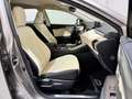 Lexus NX 300 300h Premium 2WD Grau - thumbnail 7