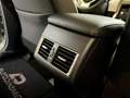 Lexus NX 300 300h Premium 2WD Grau - thumbnail 43