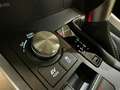 Lexus NX 300 300h Premium 2WD Grau - thumbnail 20