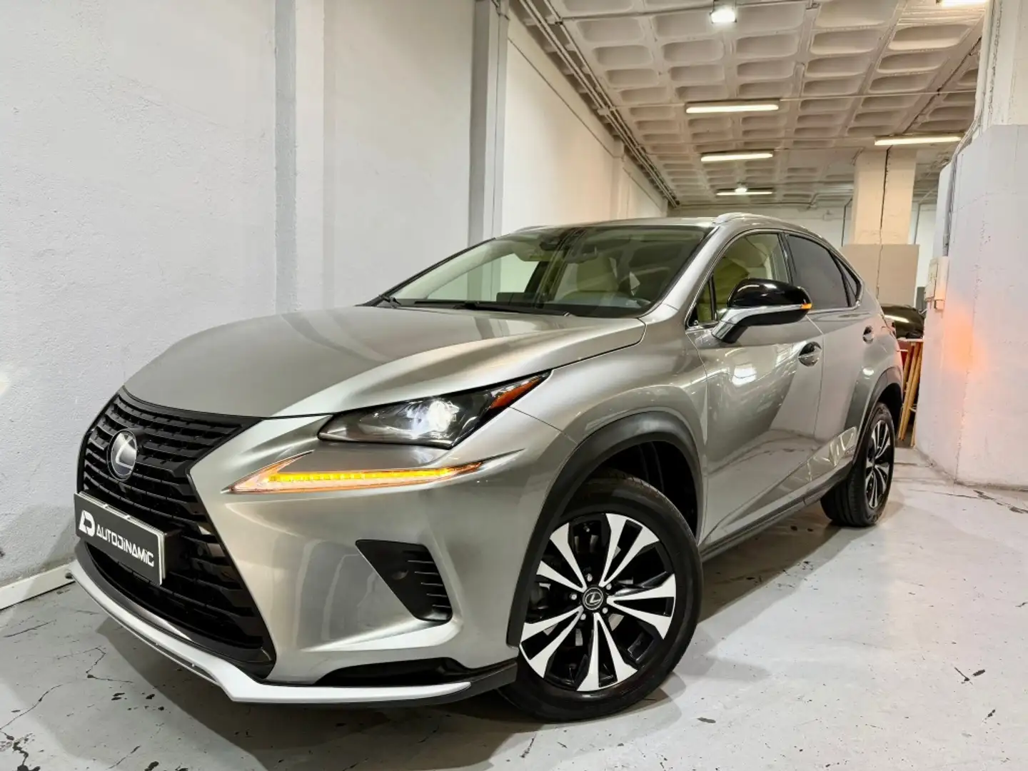 Lexus NX 300 300h Premium 2WD Grau - 1