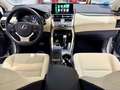 Lexus NX 300 300h Premium 2WD Grau - thumbnail 10