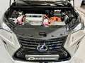 Lexus NX 300 300h Premium 2WD Grau - thumbnail 38