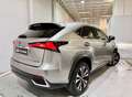 Lexus NX 300 300h Premium 2WD Grau - thumbnail 6