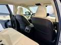 Lexus NX 300 300h Premium 2WD Grau - thumbnail 29