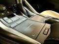 Lexus NX 300 300h Premium 2WD Grau - thumbnail 22