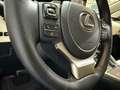 Lexus NX 300 300h Premium 2WD Grau - thumbnail 17