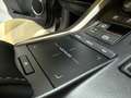 Lexus NX 300 300h Premium 2WD Grau - thumbnail 25