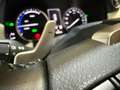 Lexus NX 300 300h Premium 2WD Grau - thumbnail 49