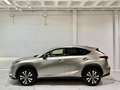 Lexus NX 300 300h Premium 2WD Grau - thumbnail 3