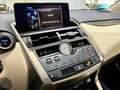 Lexus NX 300 300h Premium 2WD Grau - thumbnail 21