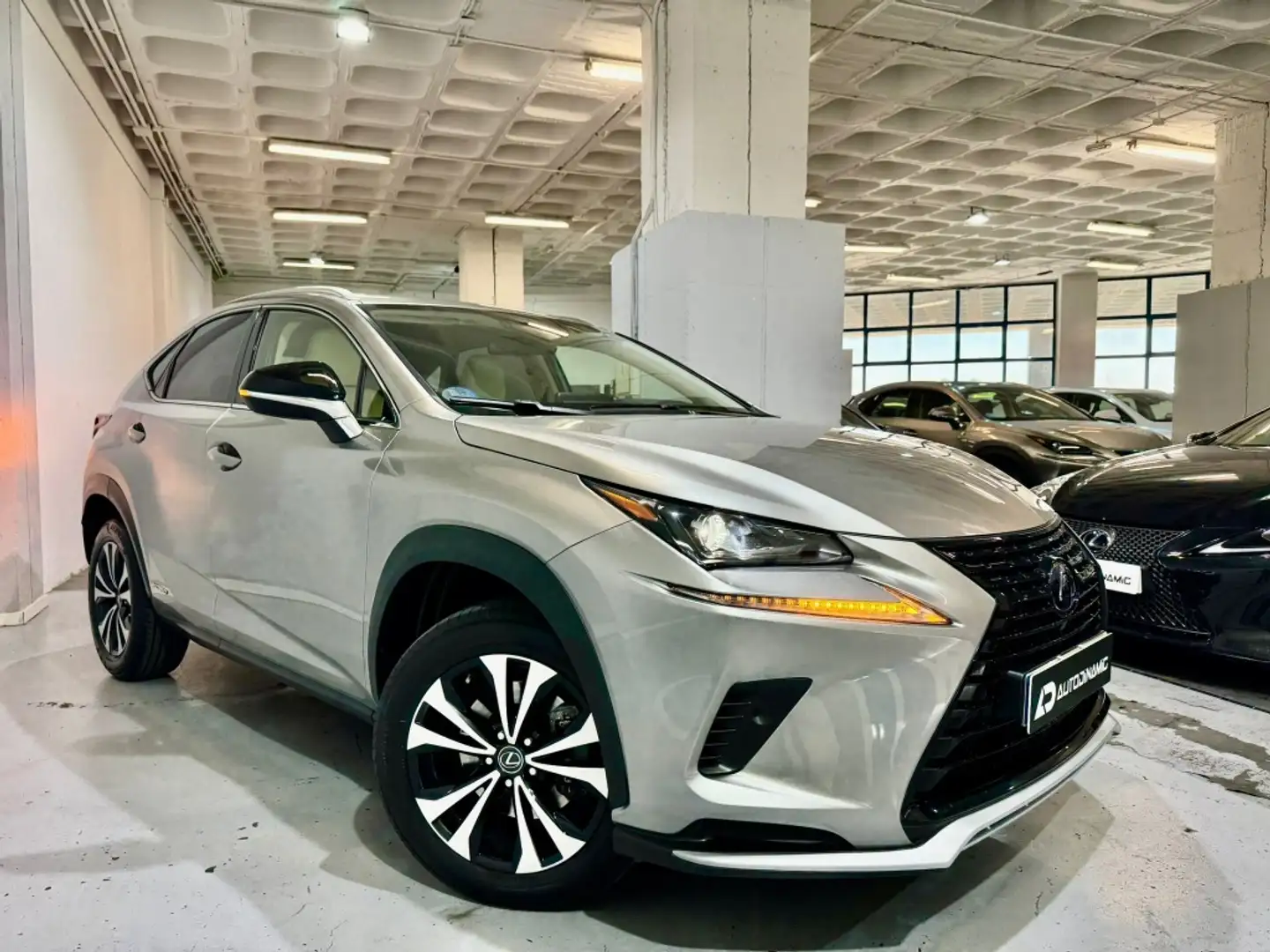 Lexus NX 300 300h Premium 2WD Grau - 2