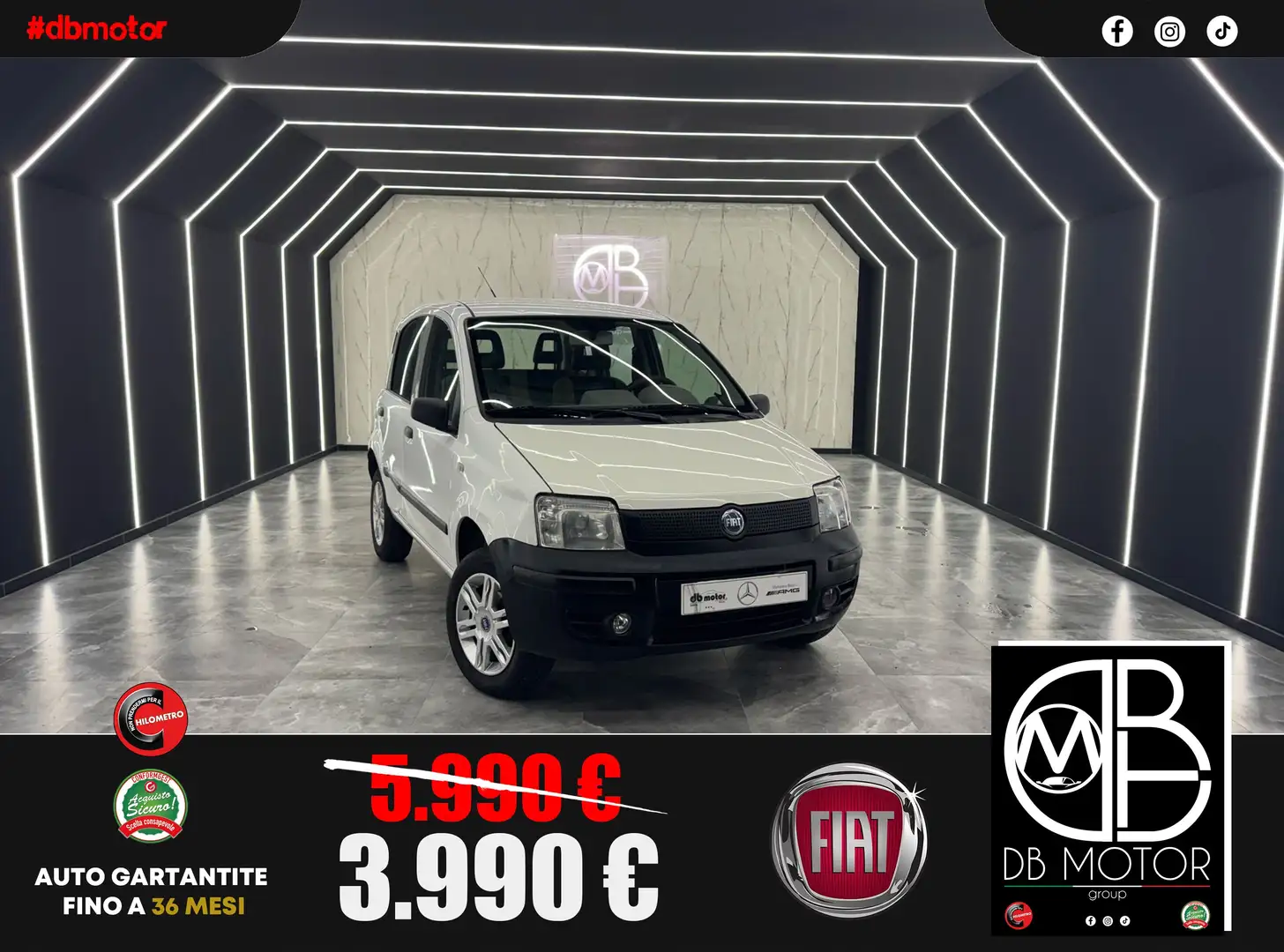 Fiat Panda Panda 1.2 4x4 Bianco - 1