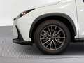 Lexus NX 450h+ Premium+ 4WD - thumbnail 16