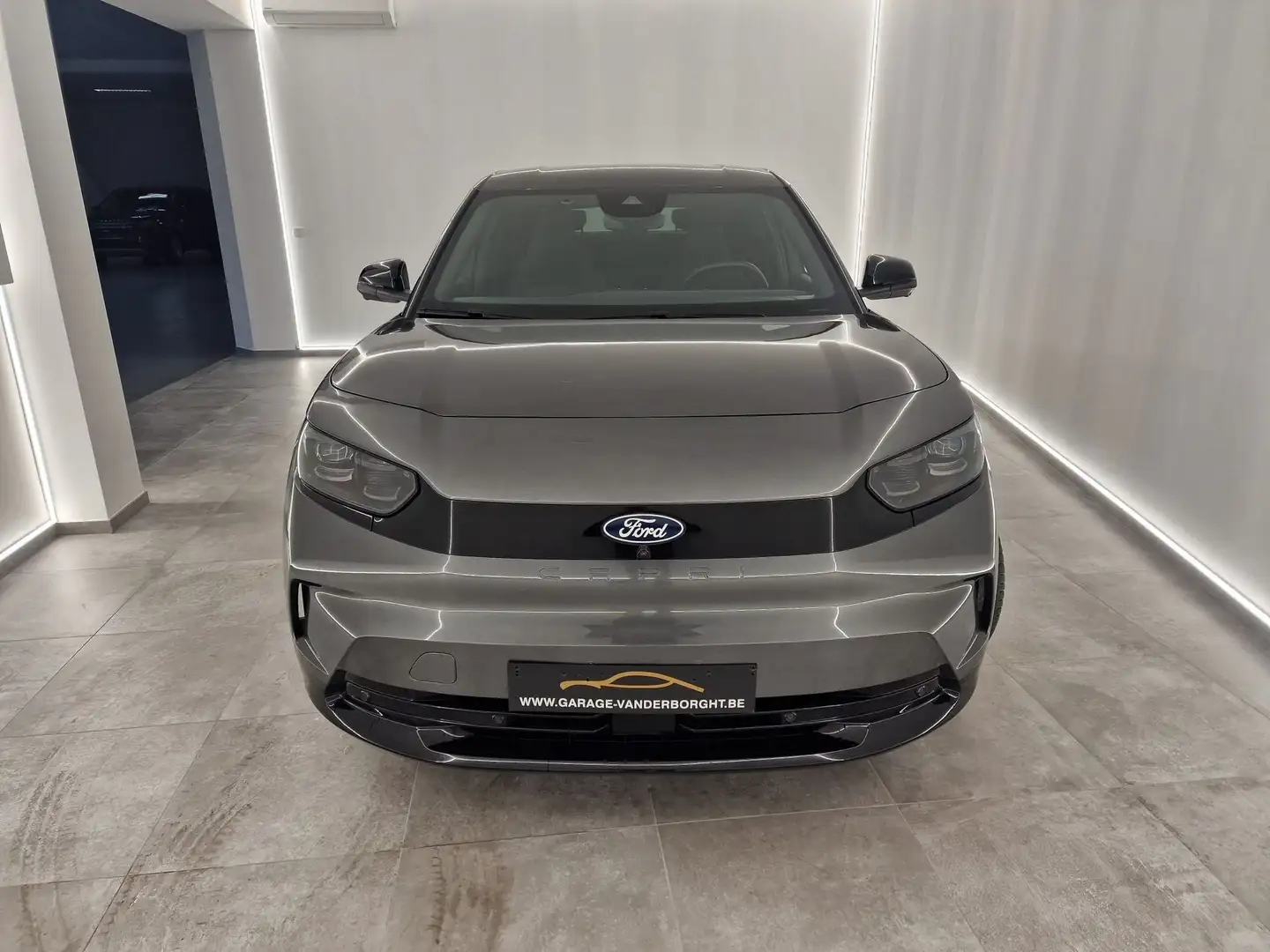 Ford Capri PREMIUM EXTENDED RANGE +TAL VAN OPTIES Gris - 2