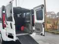 Renault Trafic 9 posti PL Bianco - thumbnail 6