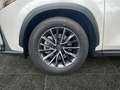 Lexus NX 450h+ Akustikglas Bel.Sitz HUD LED Blanco - thumbnail 14