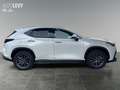Lexus NX 450h+ Akustikglas Bel.Sitz HUD LED Blanc - thumbnail 6
