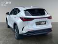 Lexus NX 450h+ Akustikglas Bel.Sitz HUD LED Blanco - thumbnail 3