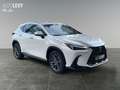Lexus NX 450h+ Akustikglas Bel.Sitz HUD LED Blanc - thumbnail 7