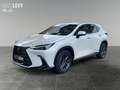 Lexus NX 450h+ Akustikglas Bel.Sitz HUD LED Blanco - thumbnail 1