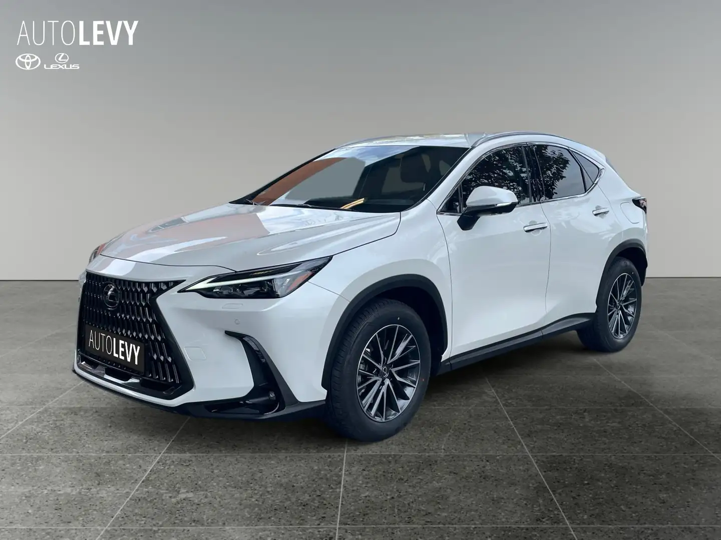 Lexus NX 450h+ Akustikglas Bel.Sitz HUD LED Blanco - 1