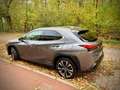 Lexus UX 250h UX 250h 2.0i AWD Business Line Plus Gris - thumbnail 3