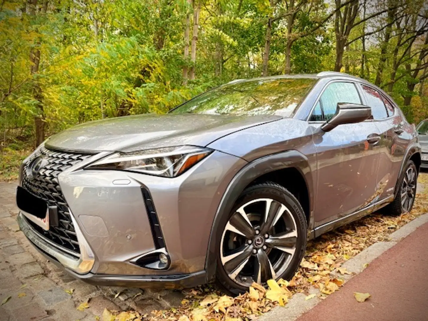 Lexus UX 250h UX 250h 2.0i AWD Business Line Plus Gris - 1
