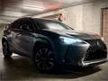 Lexus UX 250h UX 250h 2.0i AWD Business Line Plus Gris - thumbnail 10