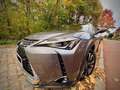 Lexus UX 250h UX 250h 2.0i AWD Business Line Plus Gris - thumbnail 9