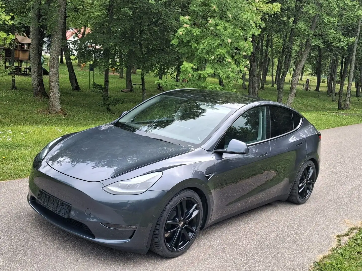 Tesla Model Y Long Range Dual AWD Сірий - 1